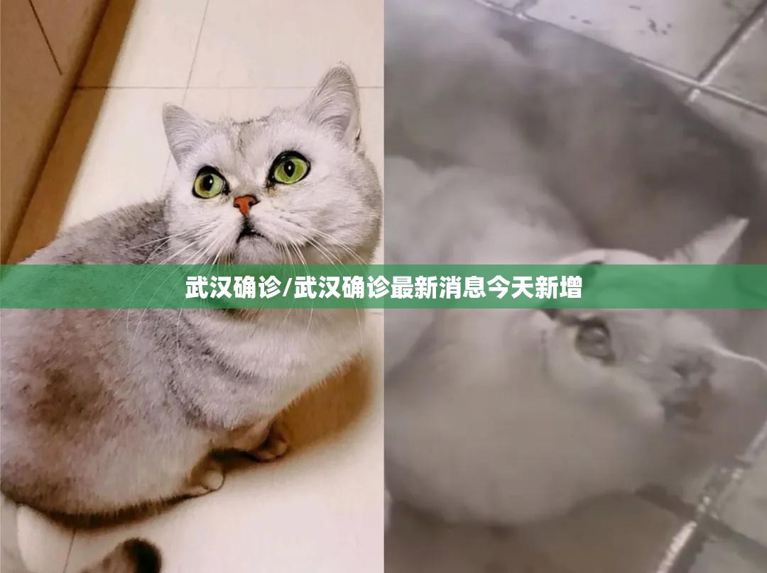 武汉确诊/武汉确诊最新消息今天新增 武汉确诊/武汉确诊最新消息今天新增