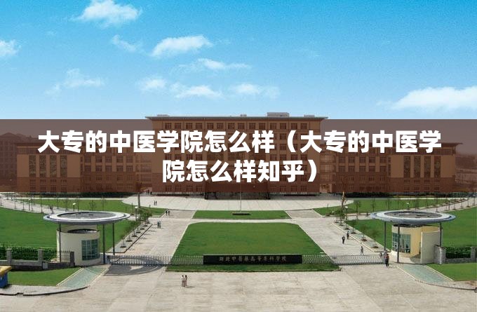 大专的中医学院怎么样（大专的中医学院怎么样知乎）