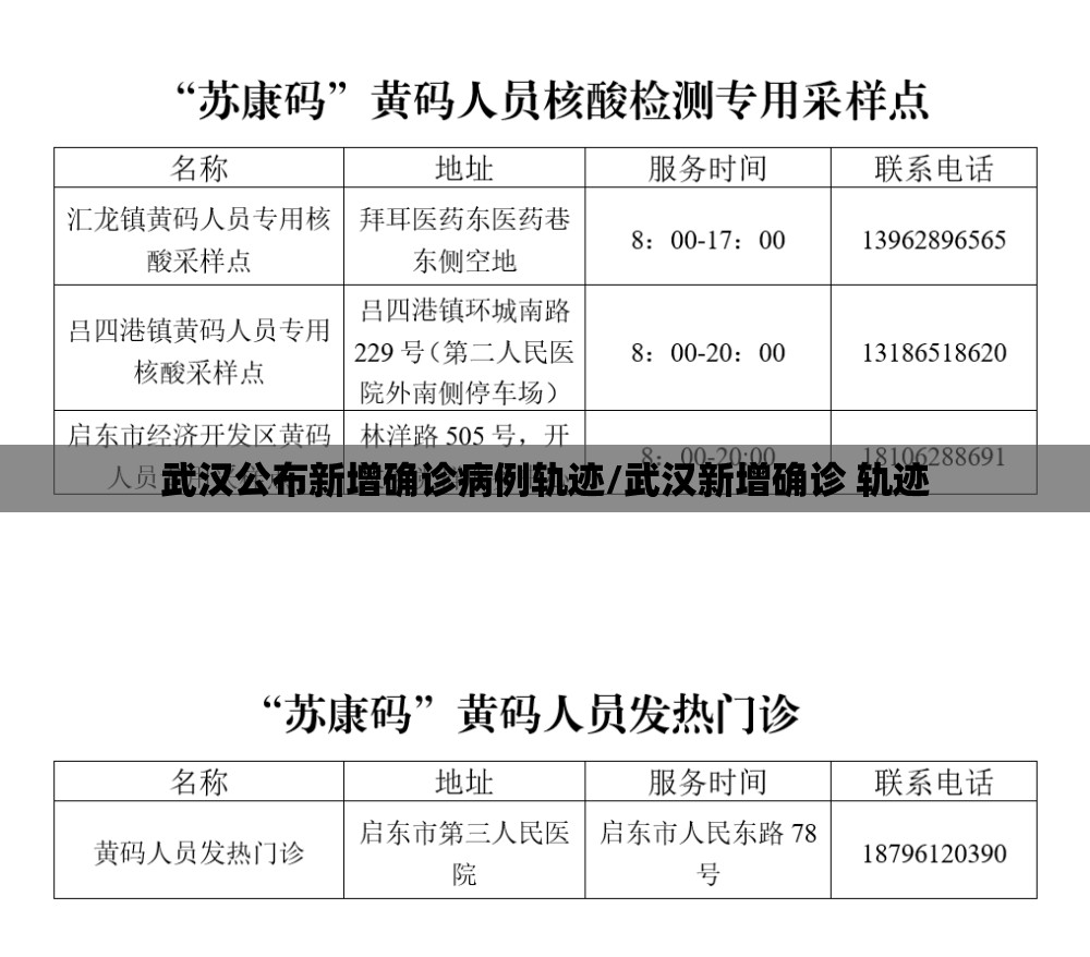 武汉公布新增确诊病例轨迹/武汉新增确诊 轨迹 武汉公布新增确诊病例轨迹/武汉新增确诊 轨迹