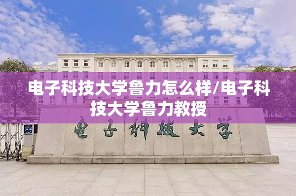 电子科技大学鲁力怎么样/电子科技大学鲁力教授 电子科技大学鲁力怎么样/电子科技大学鲁力教授