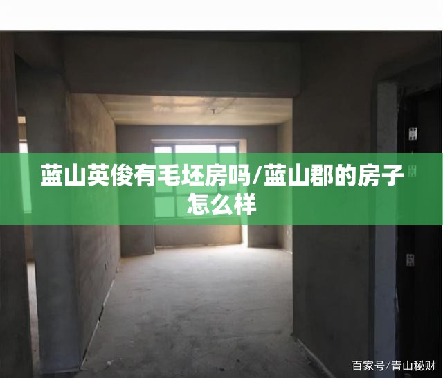 蓝山英俊有毛坯房吗/蓝山郡的房子怎么样