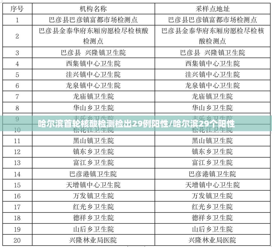 哈尔滨首轮核酸检测检出29例阳性/哈尔滨29个阳性