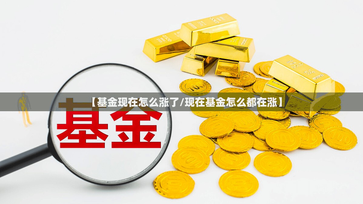 【基金现在怎么涨了/现在基金怎么都在涨】 【基金现在怎么涨了/现在基金怎么都在涨】