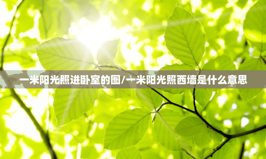 一米阳光照进卧室的图/一米阳光照西墙是什么意思 一米阳光照进卧室的图/一米阳光照西墙是什么意思