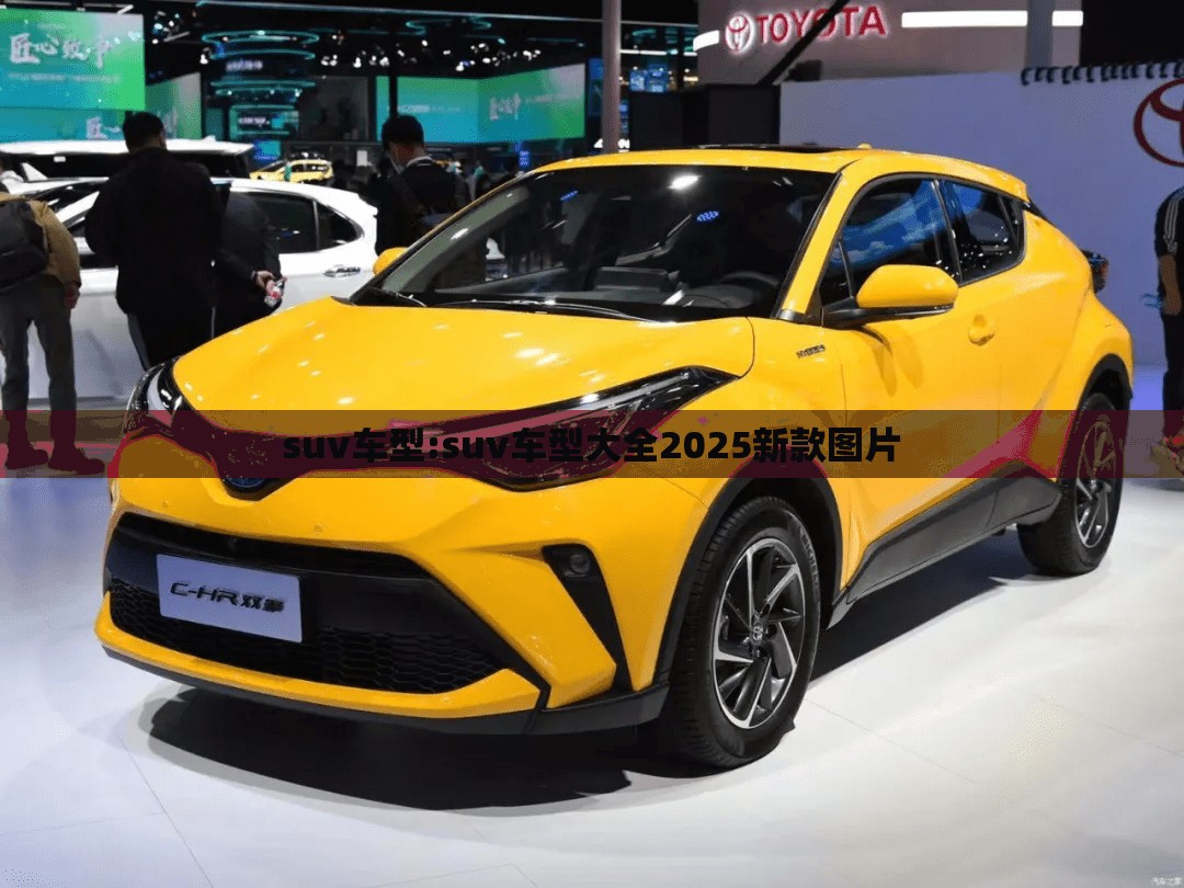 suv车型:suv车型大全2025新款图片 suv车型:suv车型大全2025新款图片