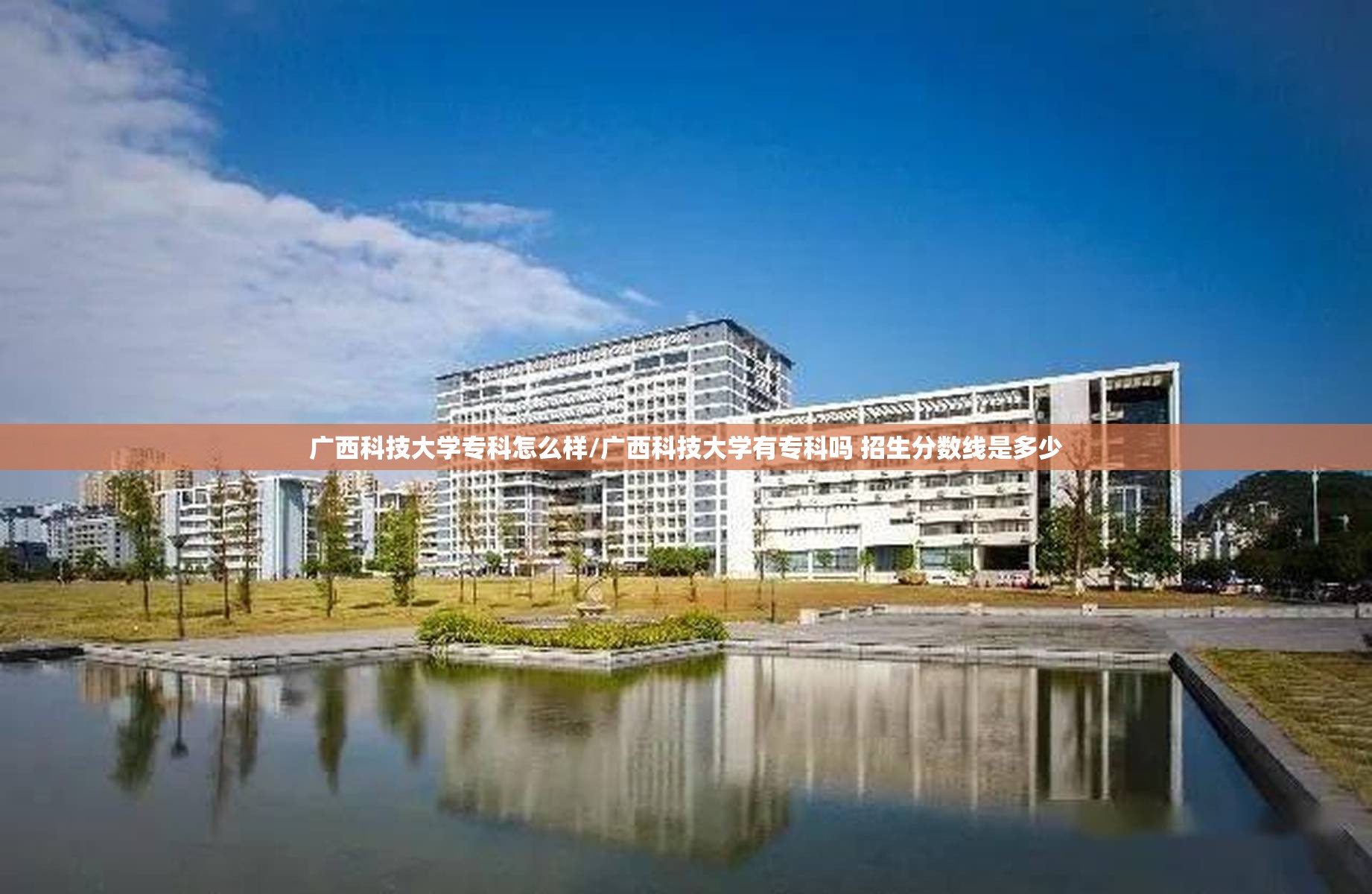 广西科技大学专科怎么样/广西科技大学有专科吗 招生分数线是多少 广西科技大学专科怎么样/广西科技大学有专科吗 招生分数线是多少