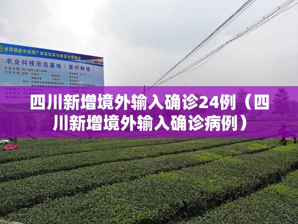 四川新增境外输入确诊24例（四川新增境外输入确诊病例）