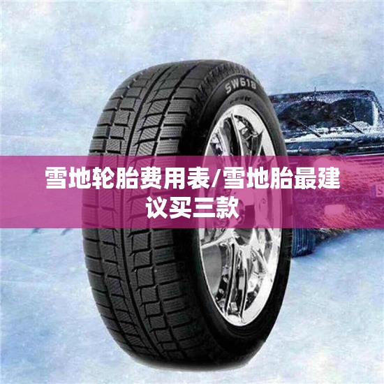 雪地轮胎费用表/雪地胎最建议买三款 雪地轮胎费用表/雪地胎最建议买三款