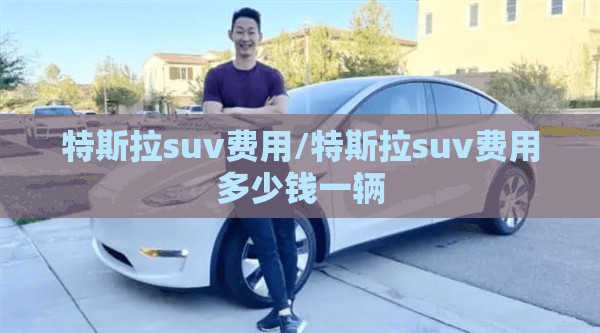 特斯拉suv费用/特斯拉suv费用多少钱一辆