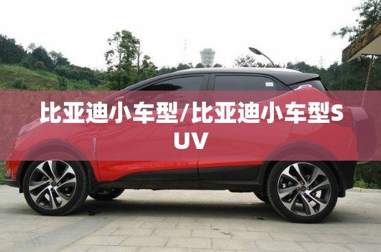 比亚迪小车型/比亚迪小车型SUV 比亚迪小车型/比亚迪小车型SUV
