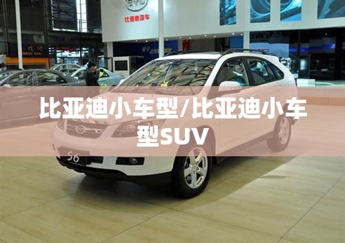 比亚迪小车型/比亚迪小车型SUV 比亚迪小车型/比亚迪小车型SUV