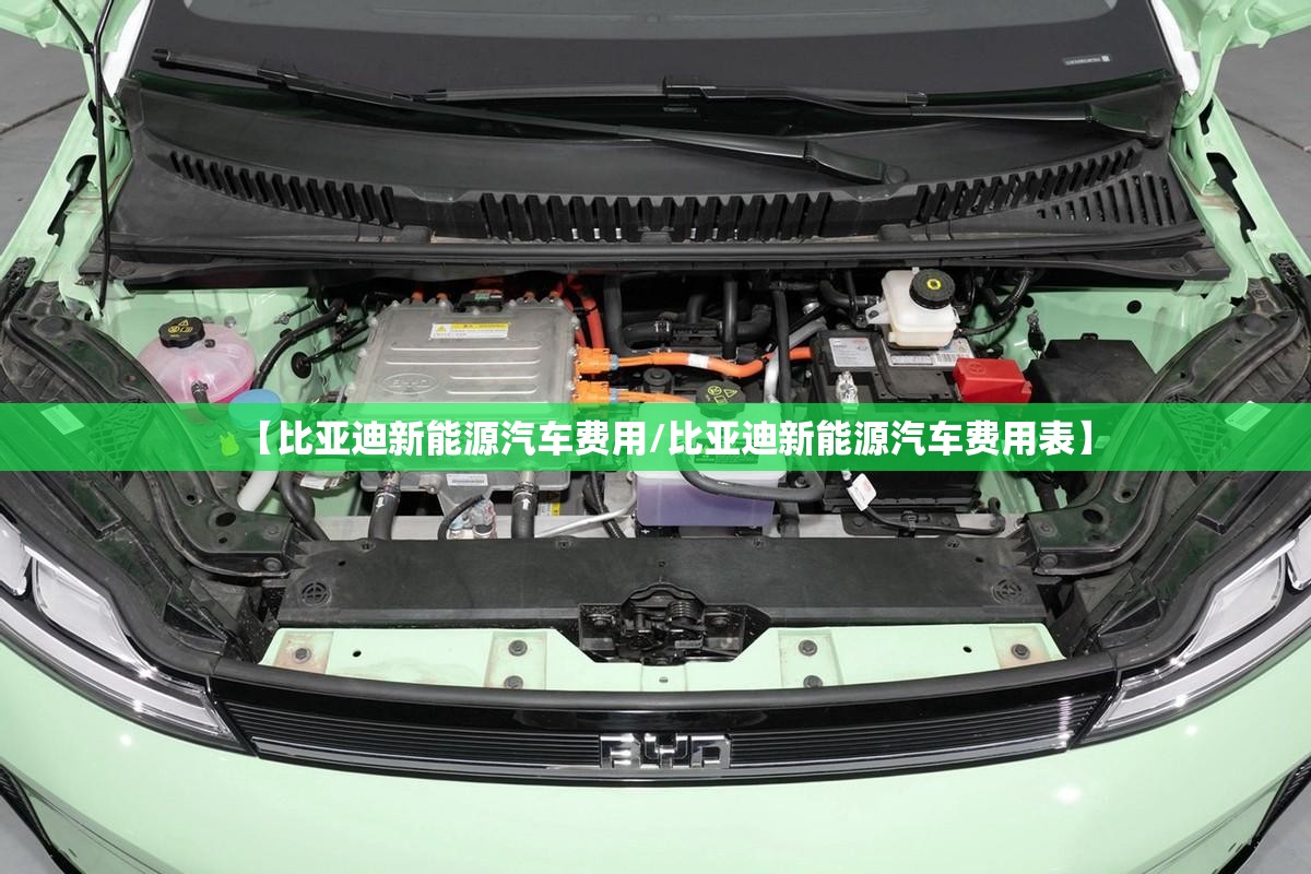 【比亚迪新能源汽车费用/比亚迪新能源汽车费用表】 【比亚迪新能源汽车费用/比亚迪新能源汽车费用表】
