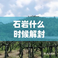 石岩什么时候解封:石岩地区 石岩什么时候解封:石岩地区