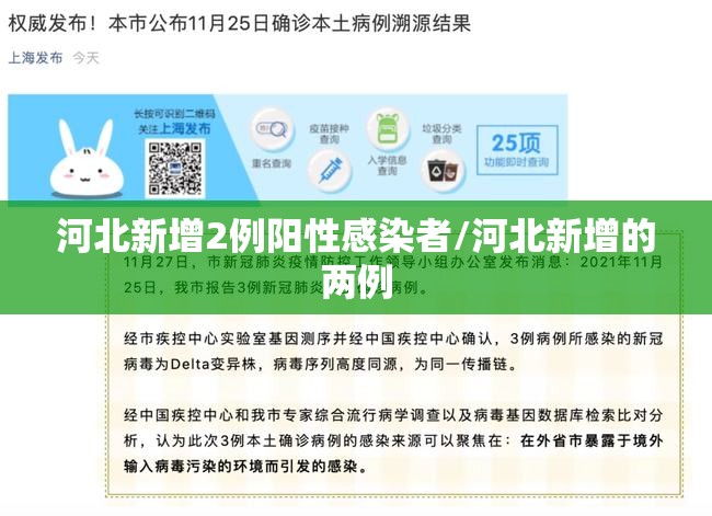 河北新增2例阳性感染者/河北新增的两例 河北新增2例阳性感染者/河北新增的两例