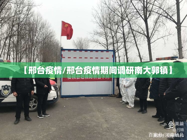 【邢台疫情/邢台疫情期间调研南大郭镇】 【邢台疫情/邢台疫情期间调研南大郭镇】