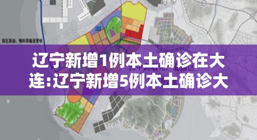 辽宁新增1例本土确诊在大连:辽宁新增5例本土确诊大连3例