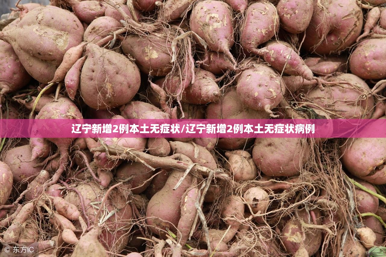 辽宁新增2例本土无症状/辽宁新增2例本土无症状病例 辽宁新增2例本土无症状/辽宁新增2例本土无症状病例