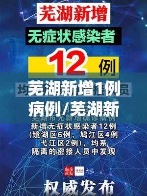 芜湖新增1例病例/芜湖新增1例确诊病例