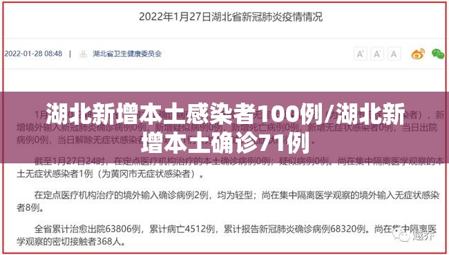 湖北新增本土感染者100例/湖北新增本土确诊71例 湖北新增本土感染者100例/湖北新增本土确诊71例