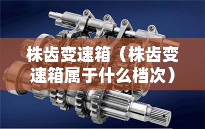 株齿变速箱（株齿变速箱属于什么档次）