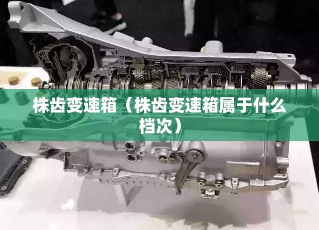 株齿变速箱（株齿变速箱属于什么档次）