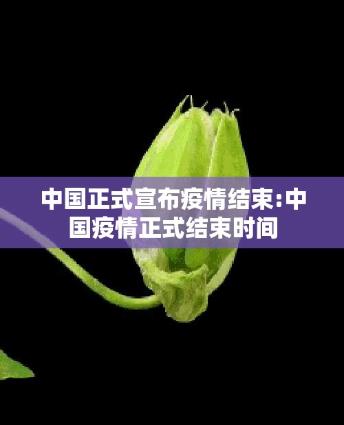 中国正式宣布疫情结束:中国疫情正式结束时间 中国正式宣布疫情结束:中国疫情正式结束时间