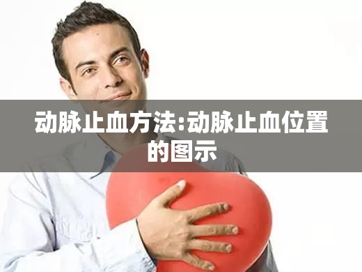 动脉止血方法:动脉止血位置的图示
