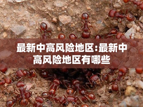 最新中高风险地区:最新中高风险地区有哪些