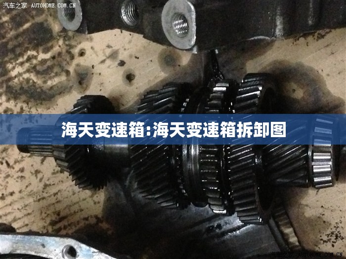 海天变速箱:海天变速箱拆卸图 海天变速箱:海天变速箱拆卸图