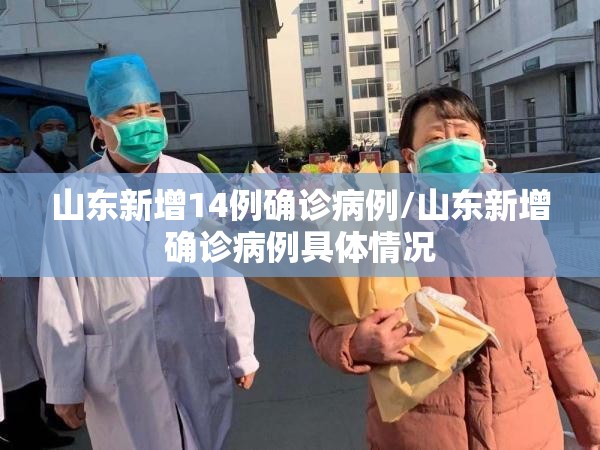 山东新增14例确诊病例/山东新增确诊病例具体情况