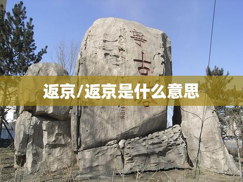 返京/返京是什么意思