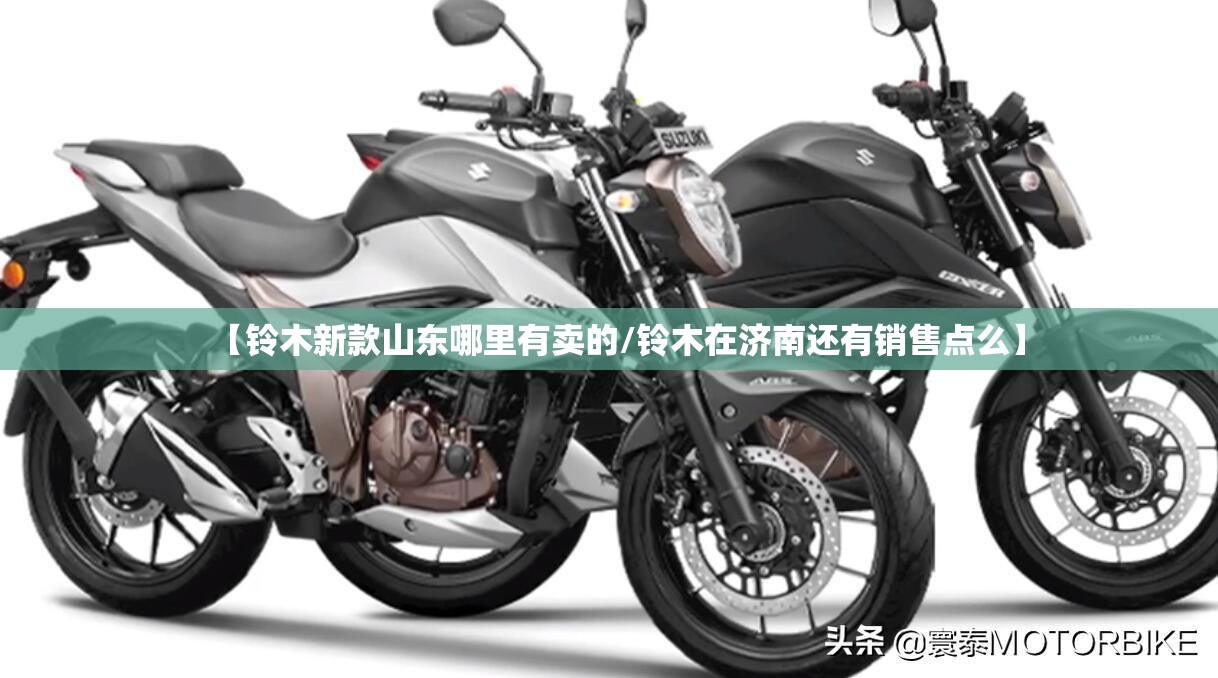 【铃木新款山东哪里有卖的/铃木在济南还有销售点么】 【铃木新款山东哪里有卖的/铃木在济南还有销售点么】