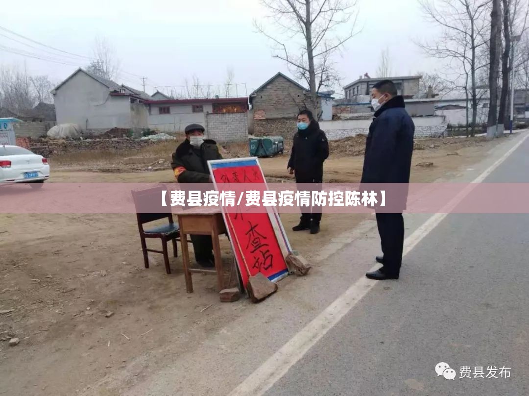 【费县疫情/费县疫情防控陈林】