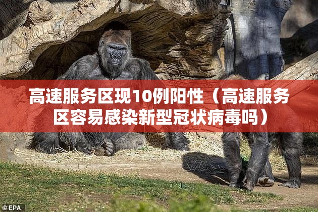 高速服务区现10例阳性(高速服务区容易感染新型冠状病毒吗) 高速服务区现10例阳性(高速服务区容易感染新型冠状病毒吗)