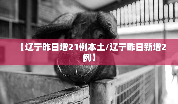 【辽宁昨日增21例本土/辽宁昨日新增2例】
