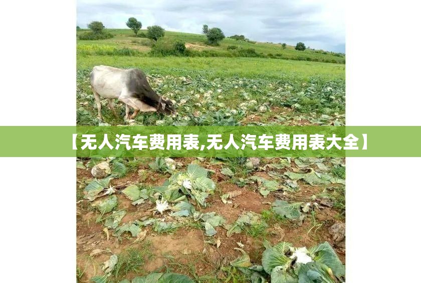 【无人汽车费用表,无人汽车费用表大全】 【无人汽车费用表,无人汽车费用表大全】