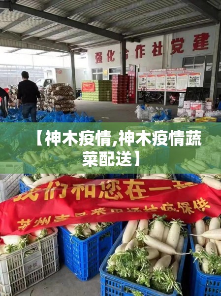 【神木疫情,神木疫情蔬菜配送】