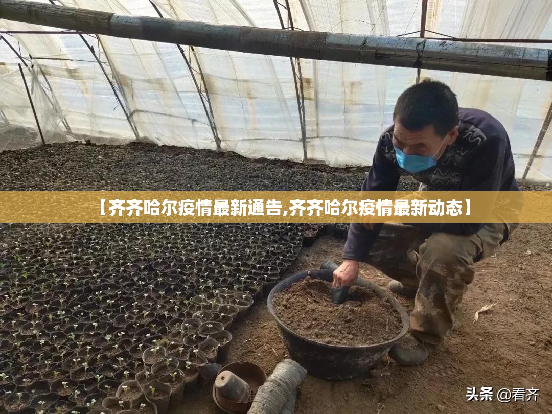 【齐齐哈尔疫情最新通告,齐齐哈尔疫情最新动态】 【齐齐哈尔疫情最新通告,齐齐哈尔疫情最新动态】
