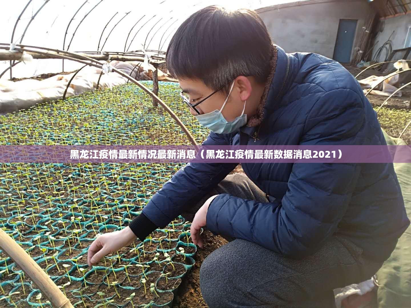 黑龙江疫情最新情况最新消息(黑龙江疫情最新数据消息2021) 黑龙江疫情最新情况最新消息(黑龙江疫情最新数据消息2021)
