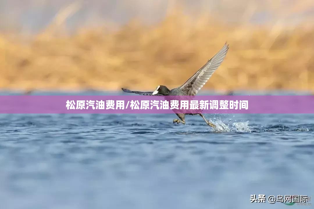 松原汽油费用/松原汽油费用最新调整时间 松原汽油费用/松原汽油费用最新调整时间