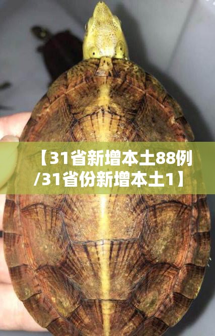 【31省新增本土88例/31省份新增本土1】 【31省新增本土88例/31省份新增本土1】