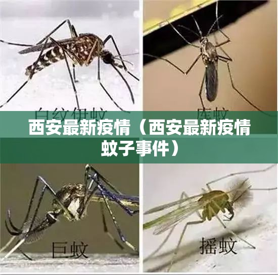 西安最新疫情(西安最新疫情蚊子事件) 西安最新疫情(西安最新疫情蚊子事件)
