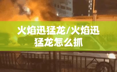 火焰迅猛龙/火焰迅猛龙怎么抓 火焰迅猛龙/火焰迅猛龙怎么抓