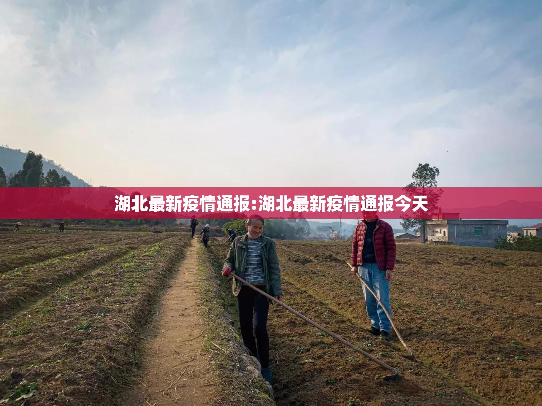 湖北最新疫情通报:湖北最新疫情通报今天 湖北最新疫情通报:湖北最新疫情通报今天