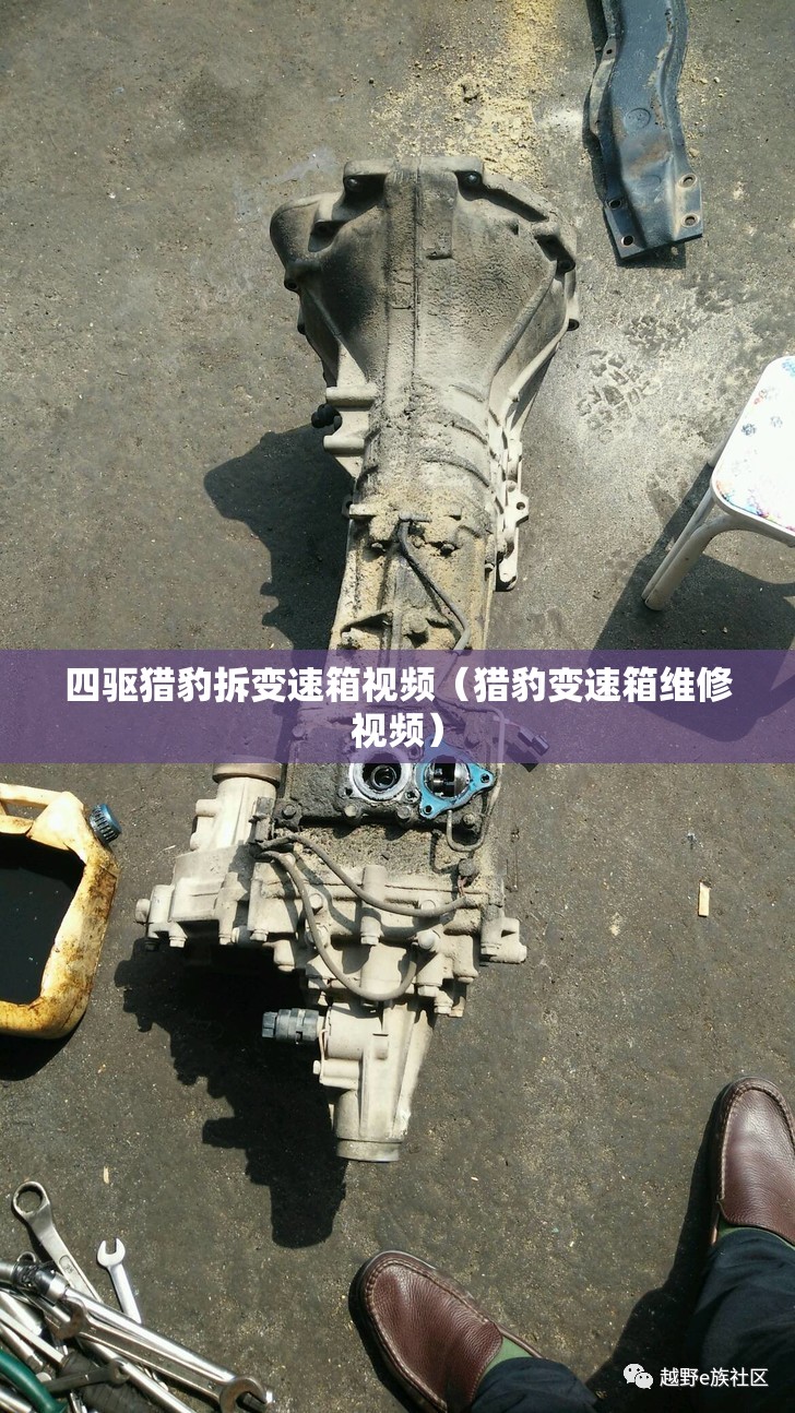 四驱猎豹拆变速箱视频（猎豹变速箱维修视频）