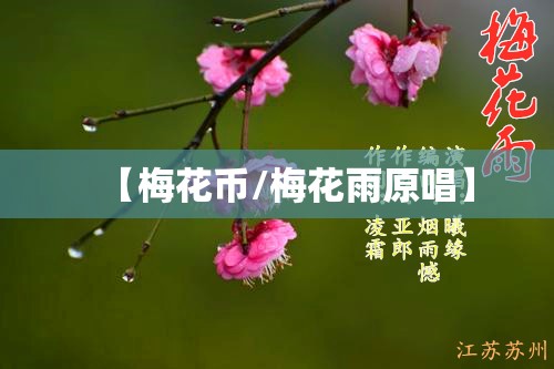 【梅花币/梅花雨原唱】 【梅花币/梅花雨原唱】