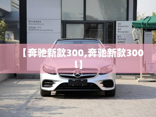【奔驰新款300,奔驰新款300l】