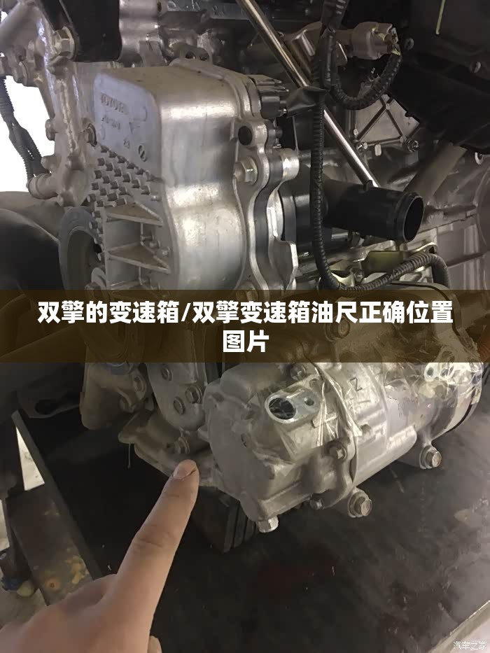 双擎的变速箱/双擎变速箱油尺正确位置图片 双擎的变速箱/双擎变速箱油尺正确位置图片