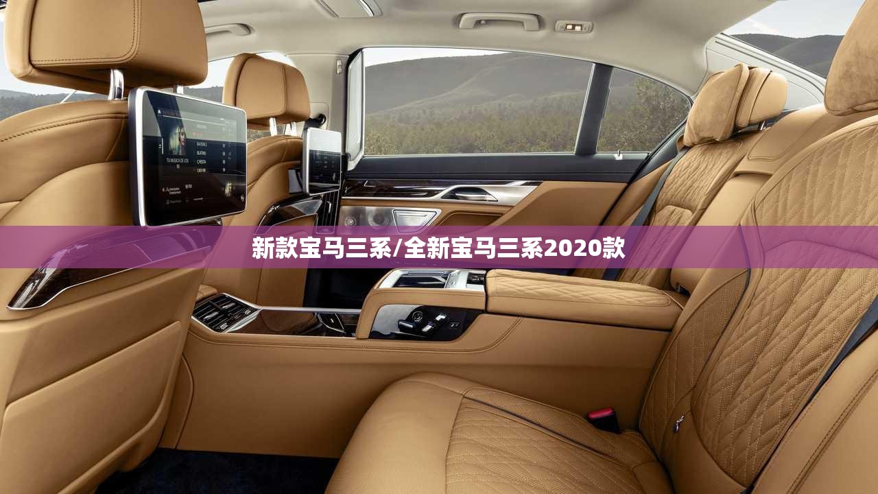 新款宝马三系/全新宝马三系2020款