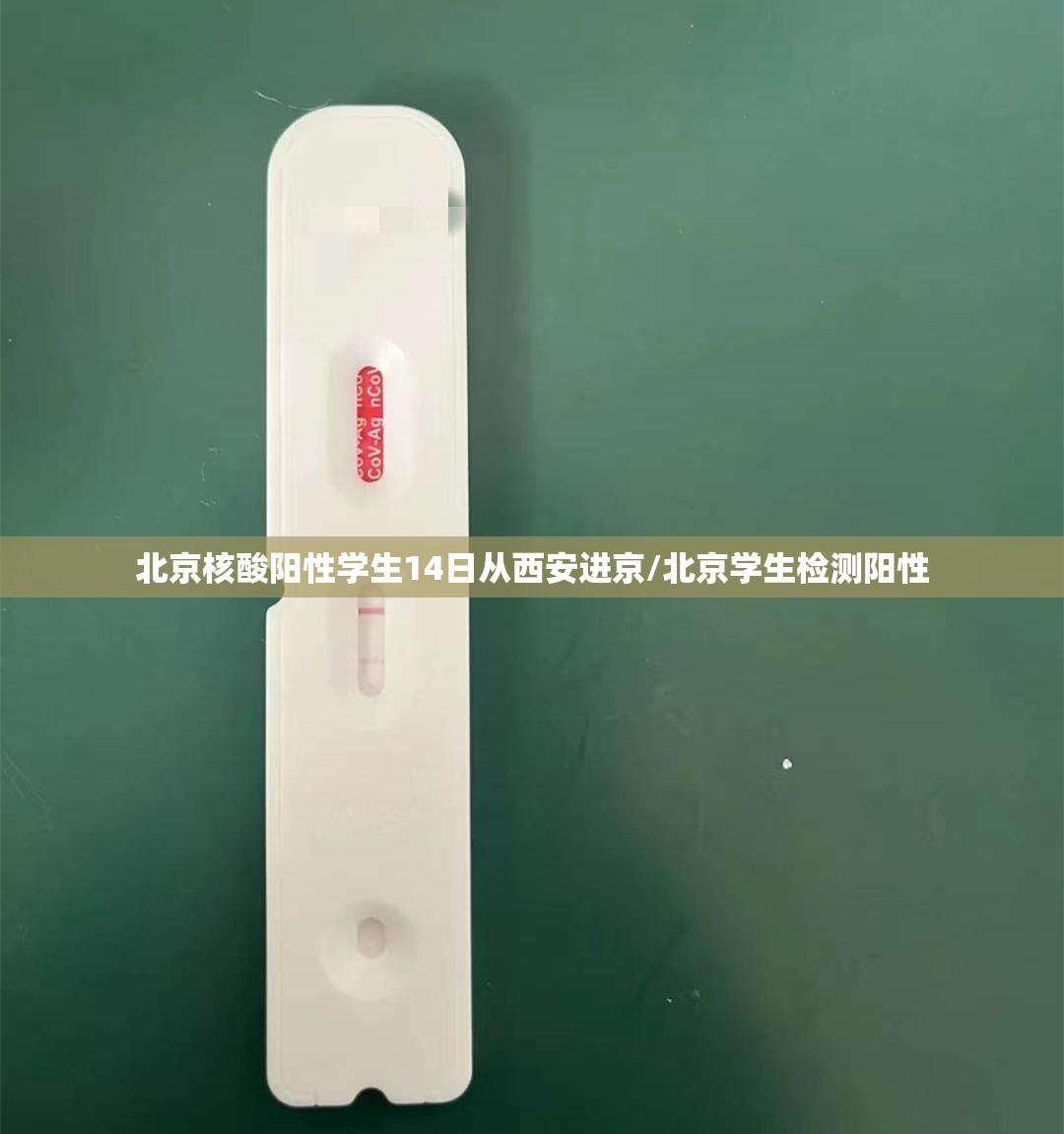 北京核酸阳性学生14日从西安进京/北京学生检测阳性 北京核酸阳性学生14日从西安进京/北京学生检测阳性